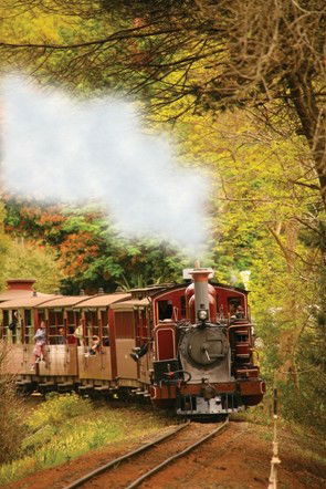 Puffing Billy - Hotel Gold Coast 5