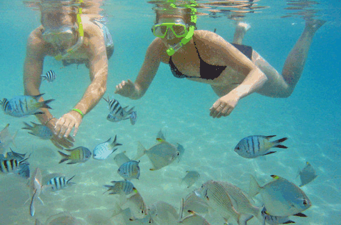Australian Kayaking Adventures - Hotel Gold Coast 2