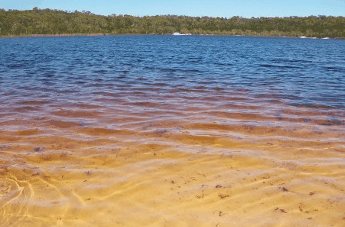Beach Trekkers North Stradbroke Island - Hotel Gold Coast 1