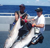 Blue Juice Charters - Hotel Gold Coast
