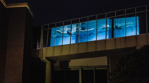 Kingston Arts - Hotel Gold Coast 8