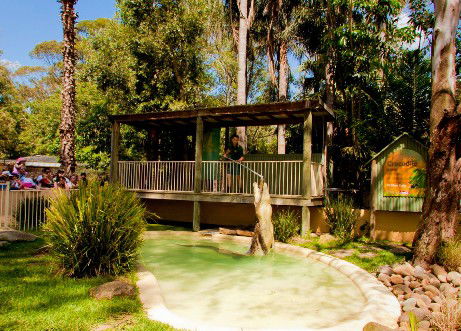 Featherdale Wildlife Park - Hotel Gold Coast 2