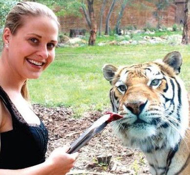 National Zoo & Aquarium - Hotel Gold Coast 4