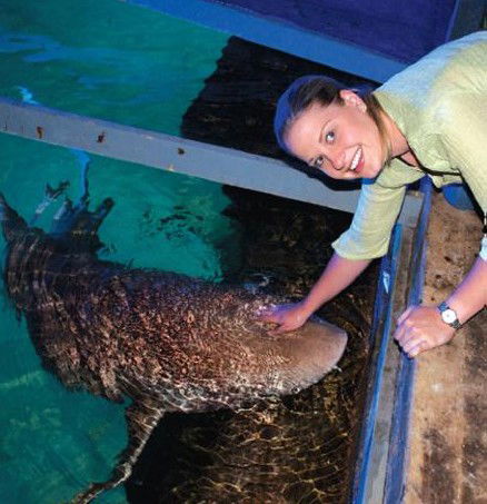 National Zoo & Aquarium - Hotel Gold Coast 7