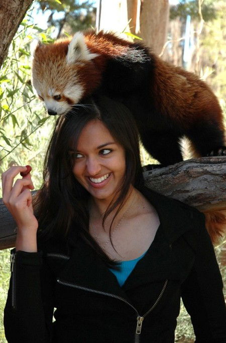 National Zoo & Aquarium - Hotel Gold Coast 8