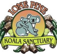 Lone Pine Koala Sanctuary - Hotel Gold Coast