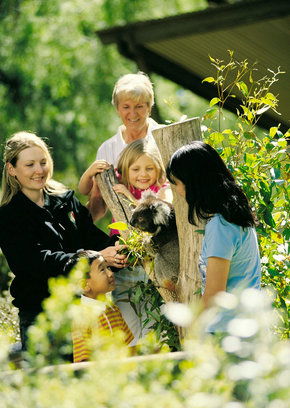 Cleland Wildlife Park - Hotel Gold Coast 5