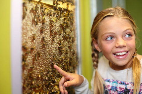 The Ginger Factory - Hotel Gold Coast 8