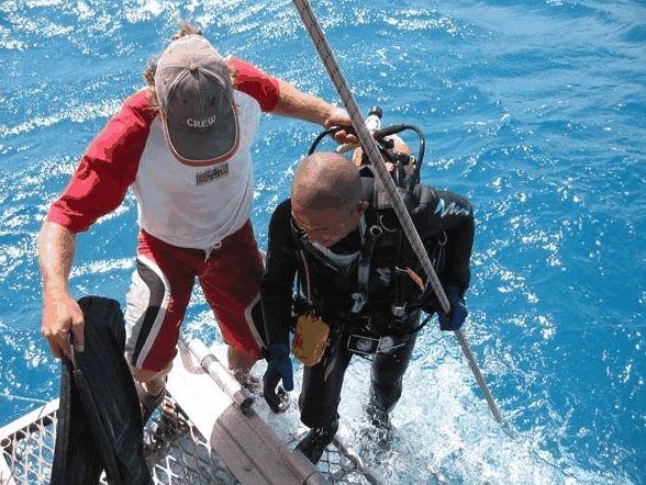 Big Cat Reality - Hotel Gold Coast 2