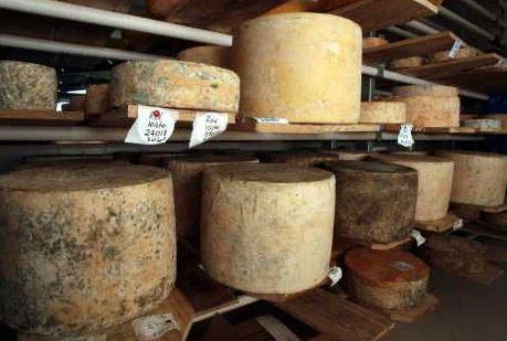 Witches Chase Cheese Co - Hotel Gold Coast 3