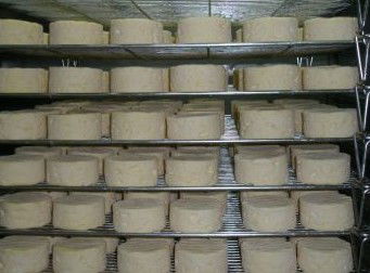 Witches Chase Cheese Co - Hotel Gold Coast 5