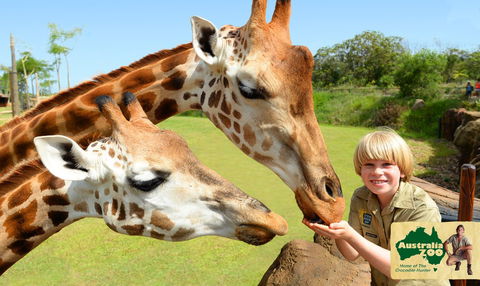 Australia Zoo - Hotel Gold Coast 4