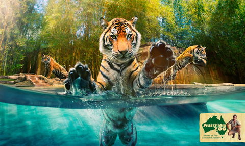 Australia Zoo - Hotel Gold Coast 9