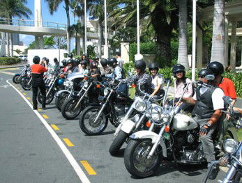 Wildfire Tours - Hotel Gold Coast 1