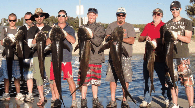 BKs Gold Coast Fishing Charters - Hotel Gold Coast 1