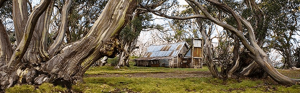 High Country Scenic Tours - Hotel Gold Coast