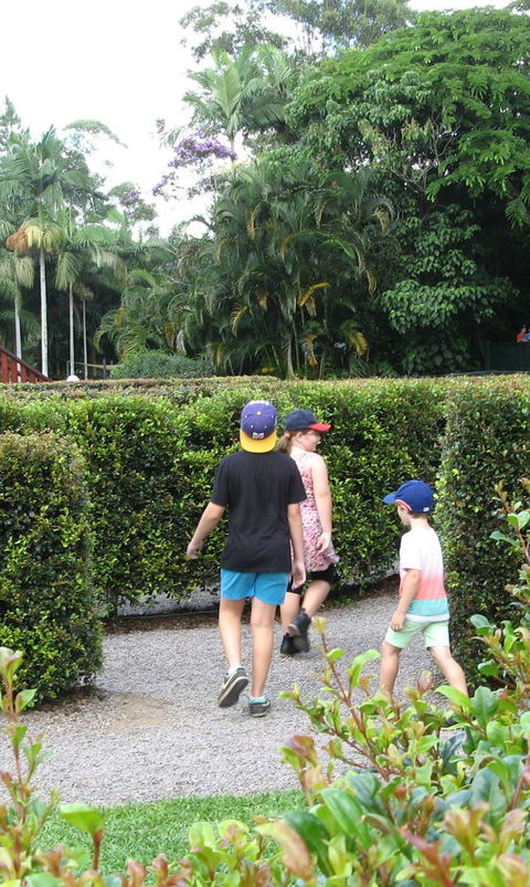 Bellingham Maze - Hotel Gold Coast 2