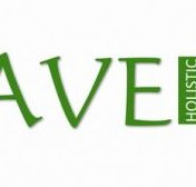 Agave Holistic Day Spa  Beauty - Hotel Gold Coast
