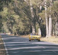 Ludlow Tuart Forest - Hotel Gold Coast