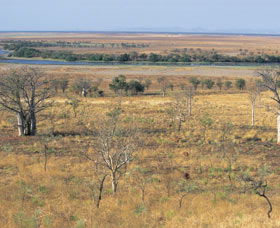 Marglu Billabong - Hotel Gold Coast 0