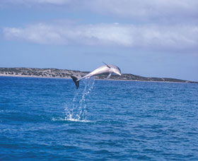 Steep Point - Hotel Gold Coast 0