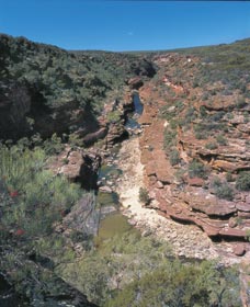 Ross Graham Lookout - Hotel Gold Coast 0