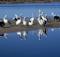 Peel Region Canoe Trails - Hotel Gold Coast