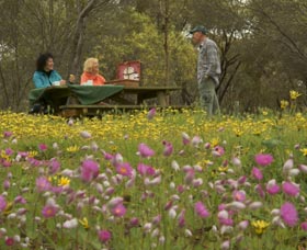 Gwambygine Park - Hotel Gold Coast 0