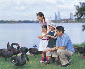 Lake Monger - Hotel Gold Coast 0