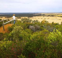 Archer Drive Scenic Drive and Lookout - Hotel Gold Coast