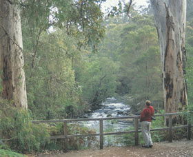 Cascades - Hotel Gold Coast 0