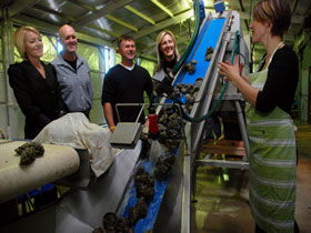 Eyre Peninsula's Seafood Trail - Hotel Gold Coast 0