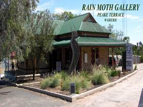 Rain Moth Gallery - Hotel Gold Coast 0
