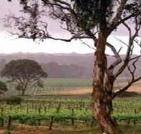 Yangarra Estate Vineyard - Hotel Gold Coast