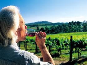 Ashton Hills Vineyard - Hotel Gold Coast 0