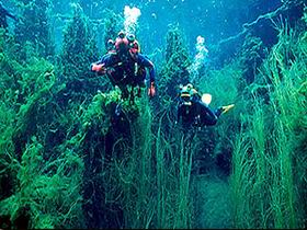 Port Macdonnell SA Hotel Gold Coast