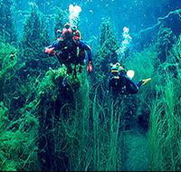 Ewens Ponds Conservation Park - Hotel Gold Coast