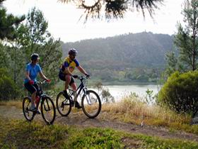 Mount Gambier Crater Lakes Mountain Bike Trail - Hotel Gold Coast 0