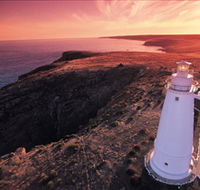 Lashmar Conservation Park - Hotel Gold Coast