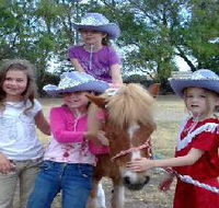 Amberainbow Pony Rides - Hotel Gold Coast