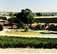Irvine Wines - Hotel Gold Coast