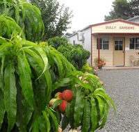 Gully Gardens - Hotel Gold Coast