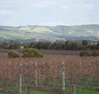 Mclaren Vale Premium Wines - Hotel Gold Coast