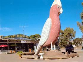 The Big Galah - Hotel Gold Coast 0