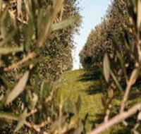 Evilo Estate - Hotel Gold Coast