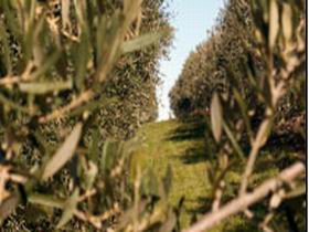 Evilo Estate - Hotel Gold Coast 0