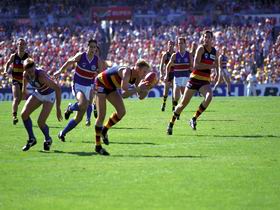 AAMI Stadium Tours - Hotel Gold Coast 0