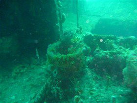 Wallaroo Scuba Club - Hotel Gold Coast 0