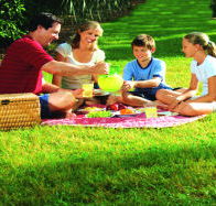 Bruny Island Berry Farm - Hotel Gold Coast