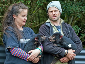 Devils@cradle - Hotel Gold Coast 0